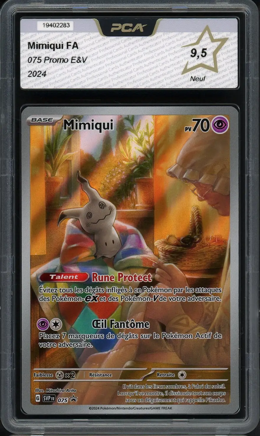 PCA 9.5 Mimiqui