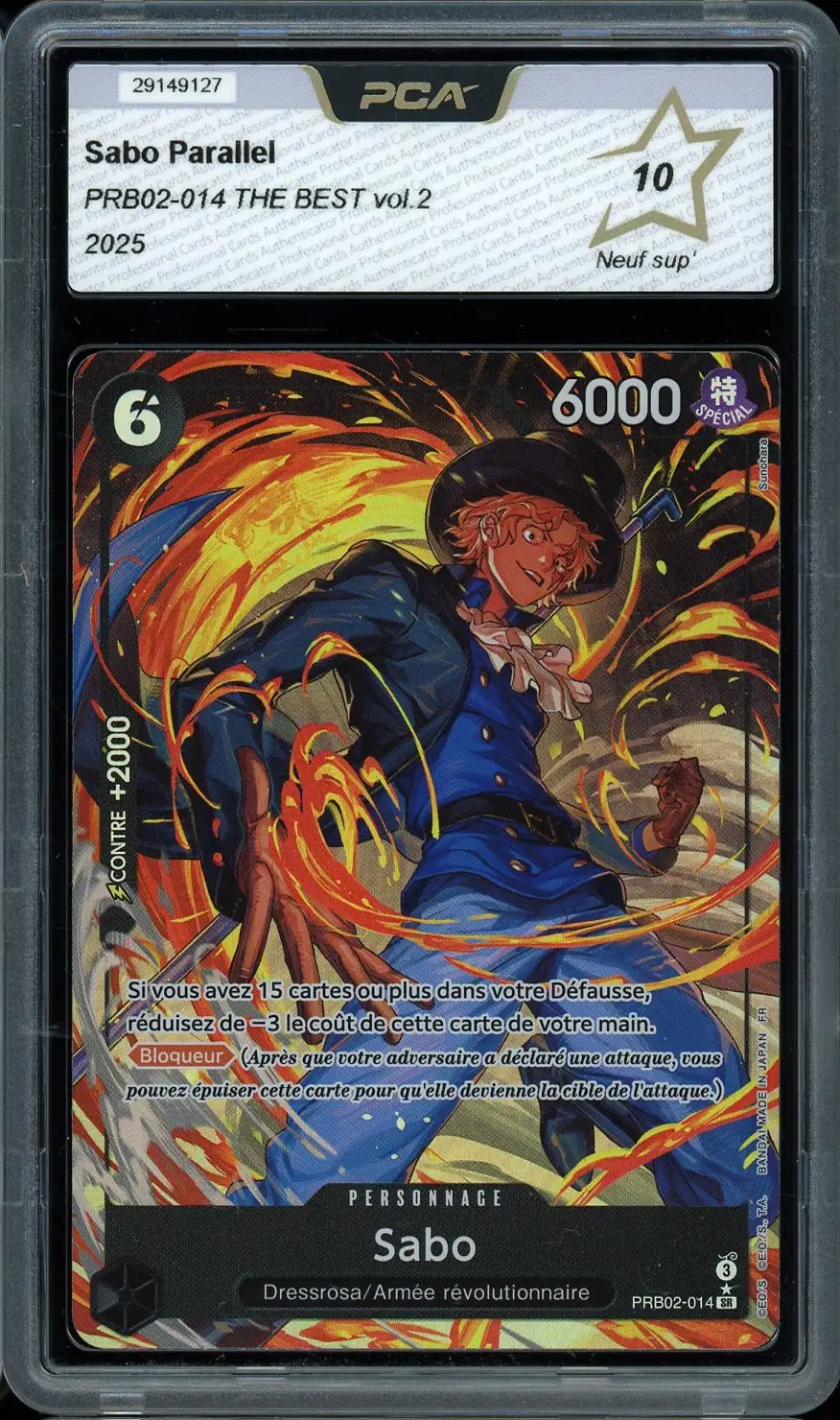 PCA 10 Sabo