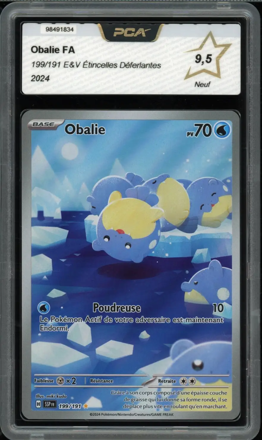 PCA 9.5 Obalie