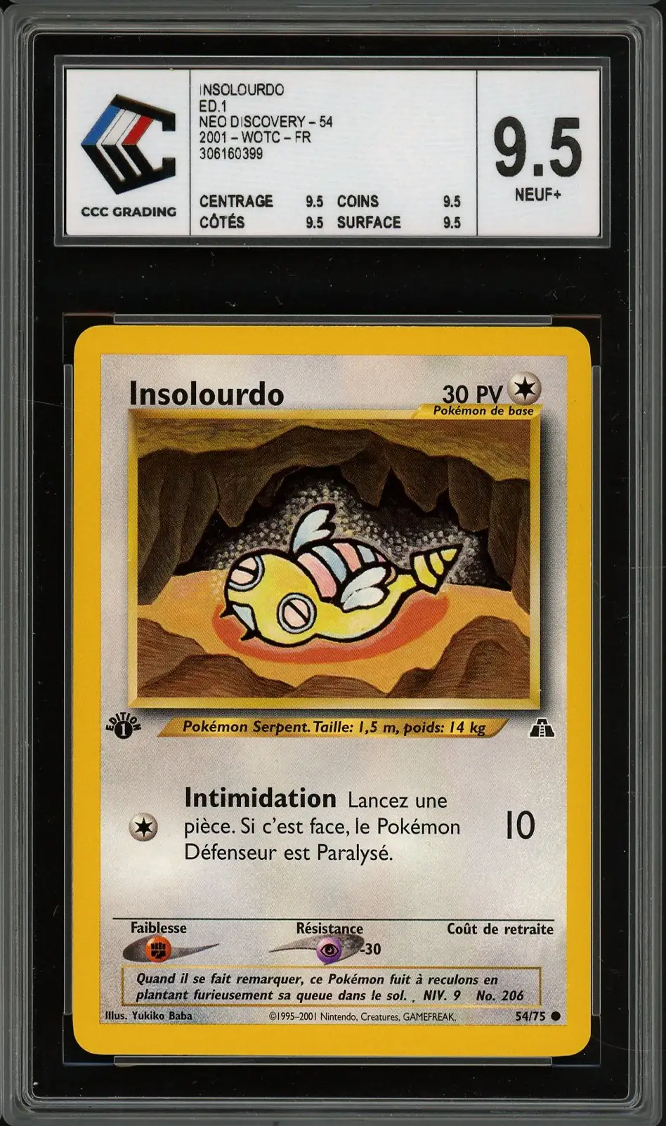 CCC 9.5 Insolourdo