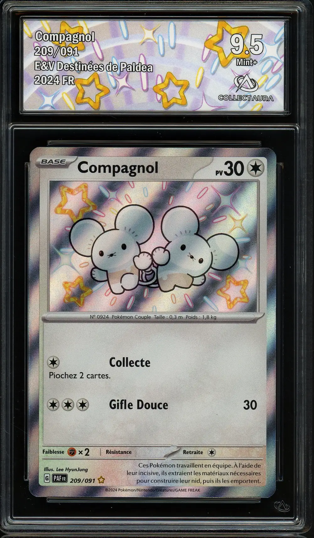 CA 9.5 Compagnol Shiny