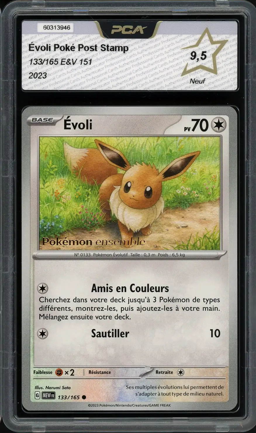 PCA 9.5 Evoli Poke Post Pop-Up Exclusive