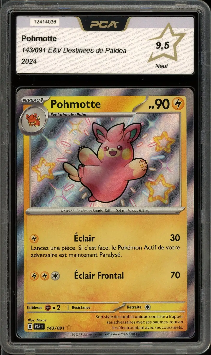 PCA 9.5 Pohmotte Shiny