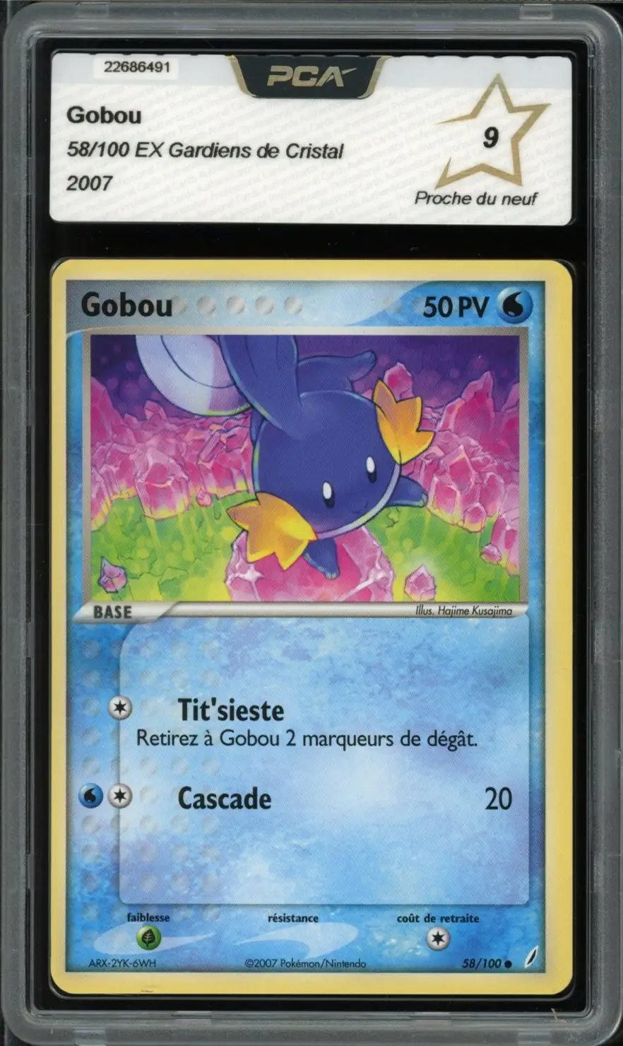 PCA 9 Gobou