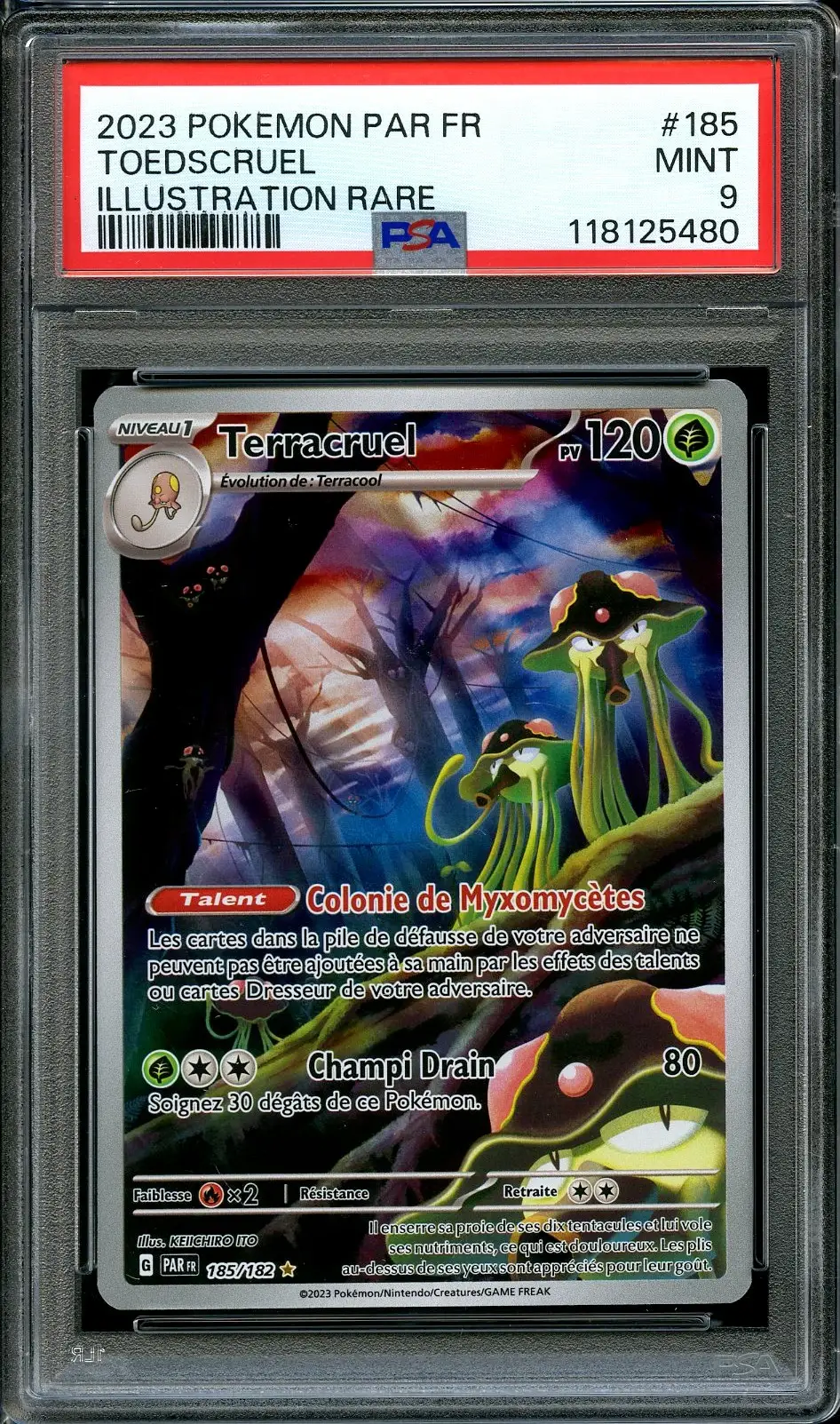 PSA 9 Terracruel