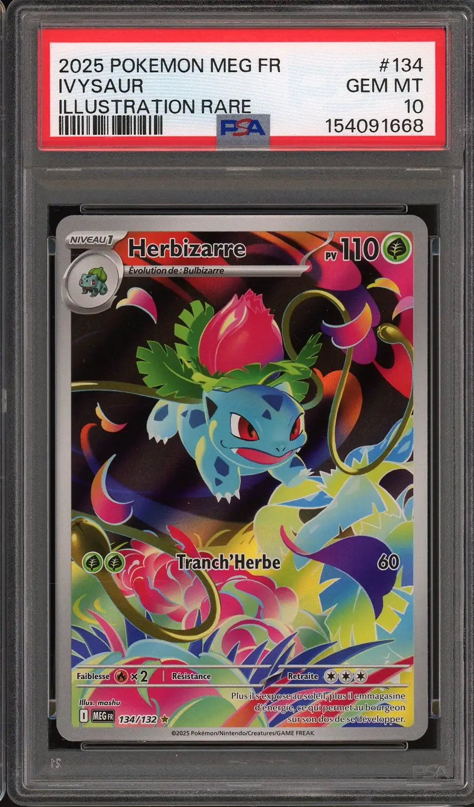 PSA 10 Herbizarre