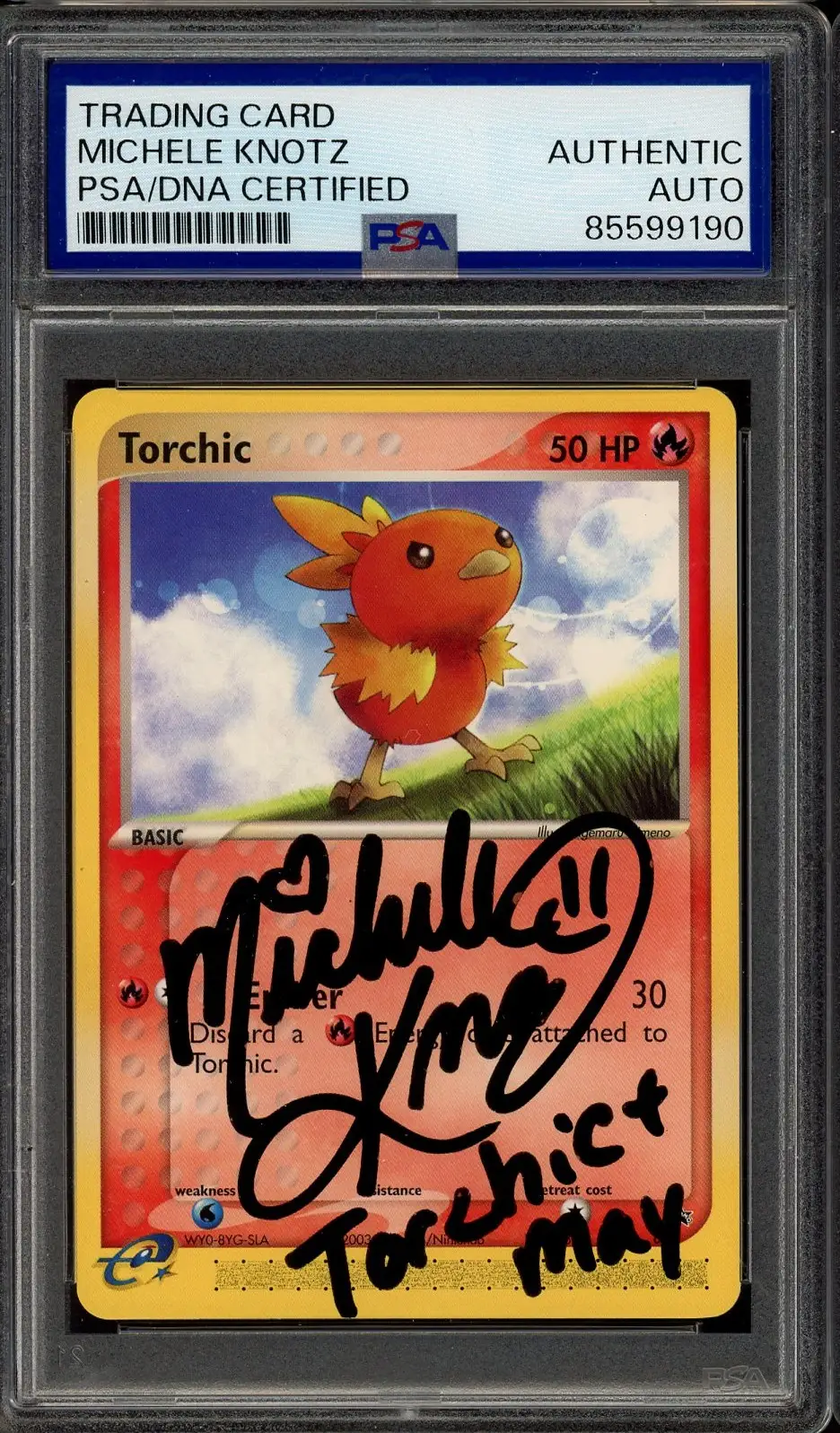 PSA A Torchic
