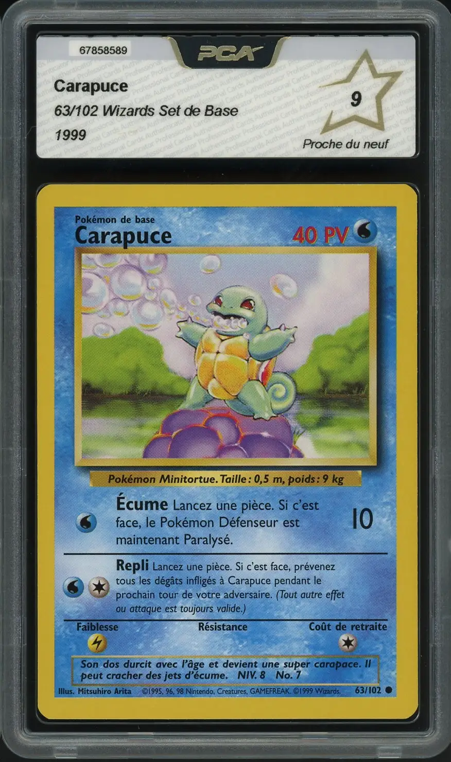 PCA 9 Carapuce