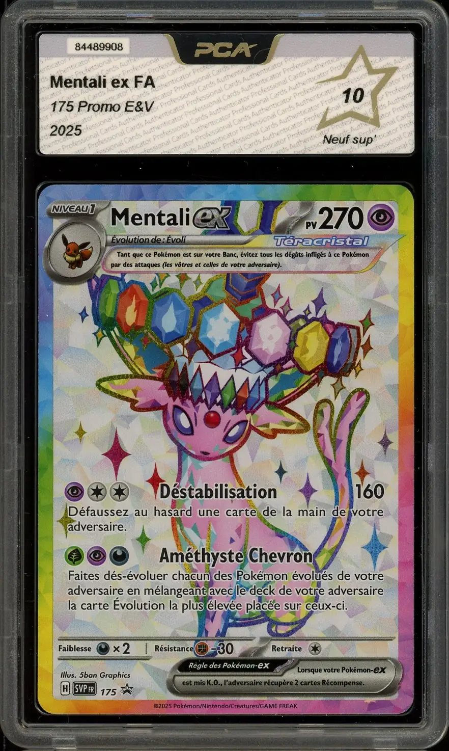 PCA 10 Mentali Ex