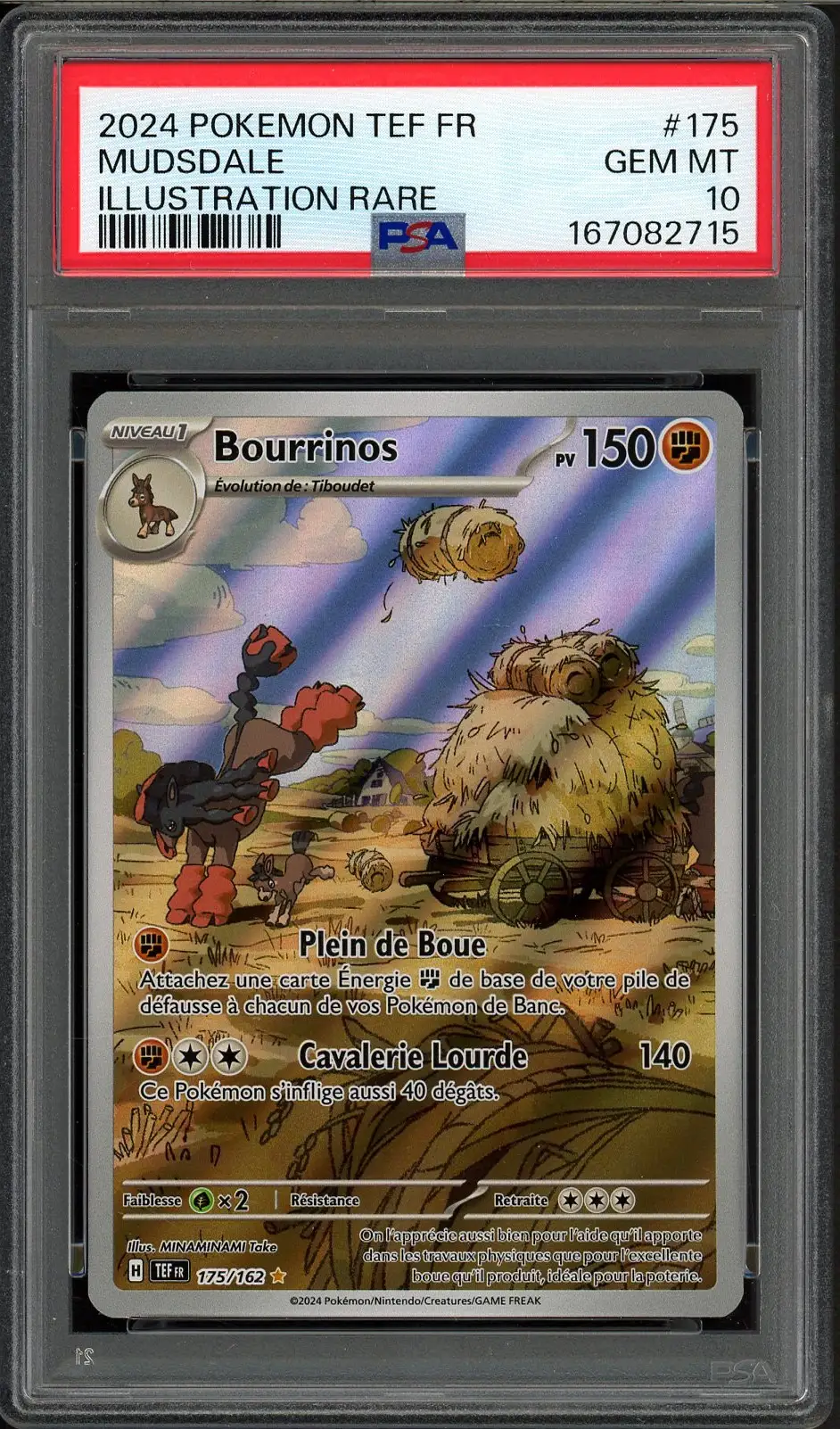 PSA 10 Bourrinos