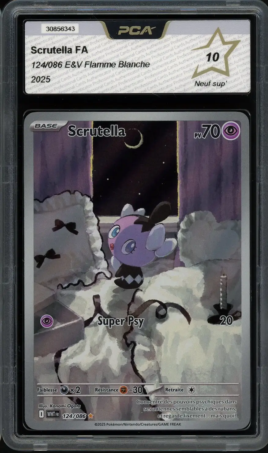 PCA 10 Scrutella