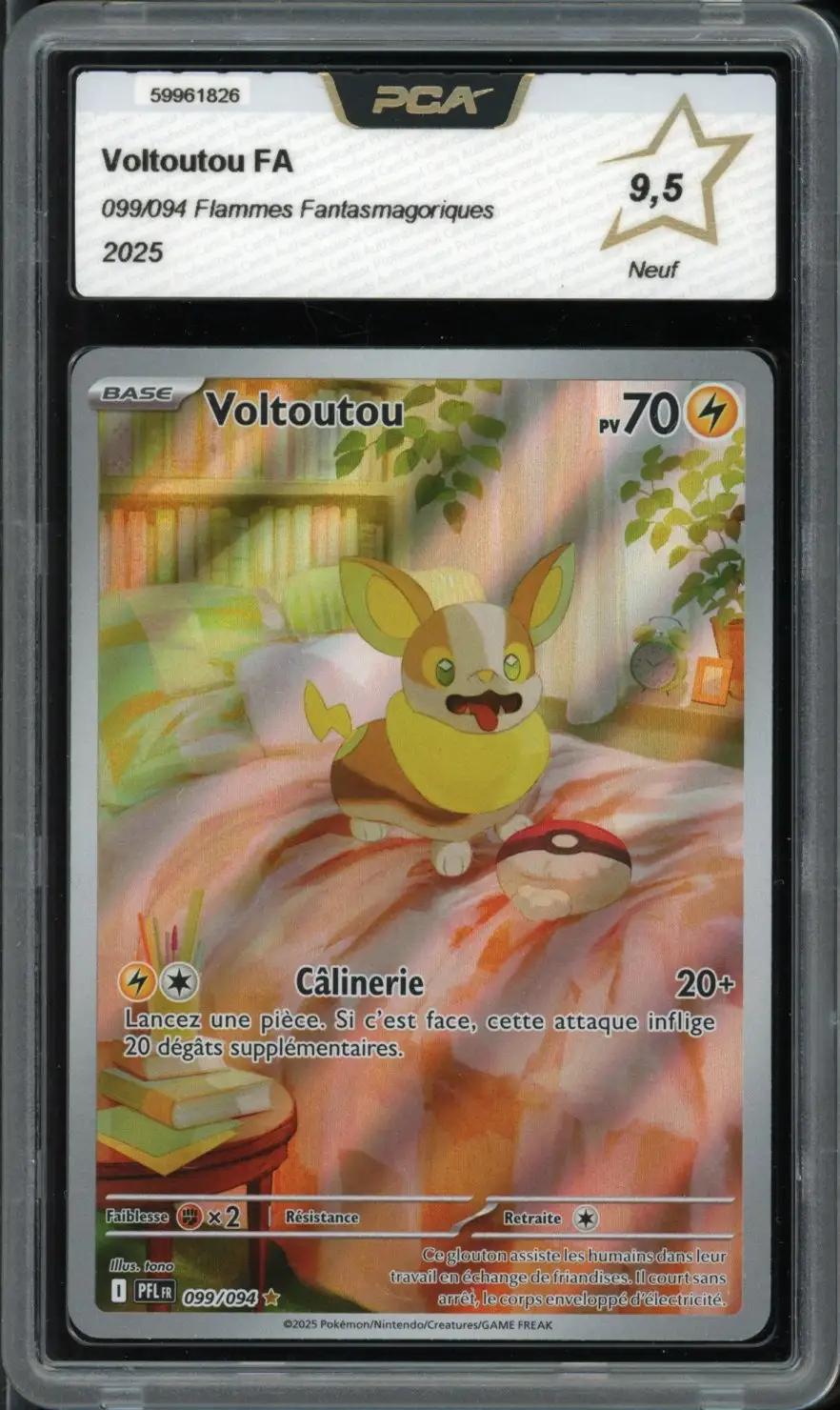 PCA 9.5 Voltoutou