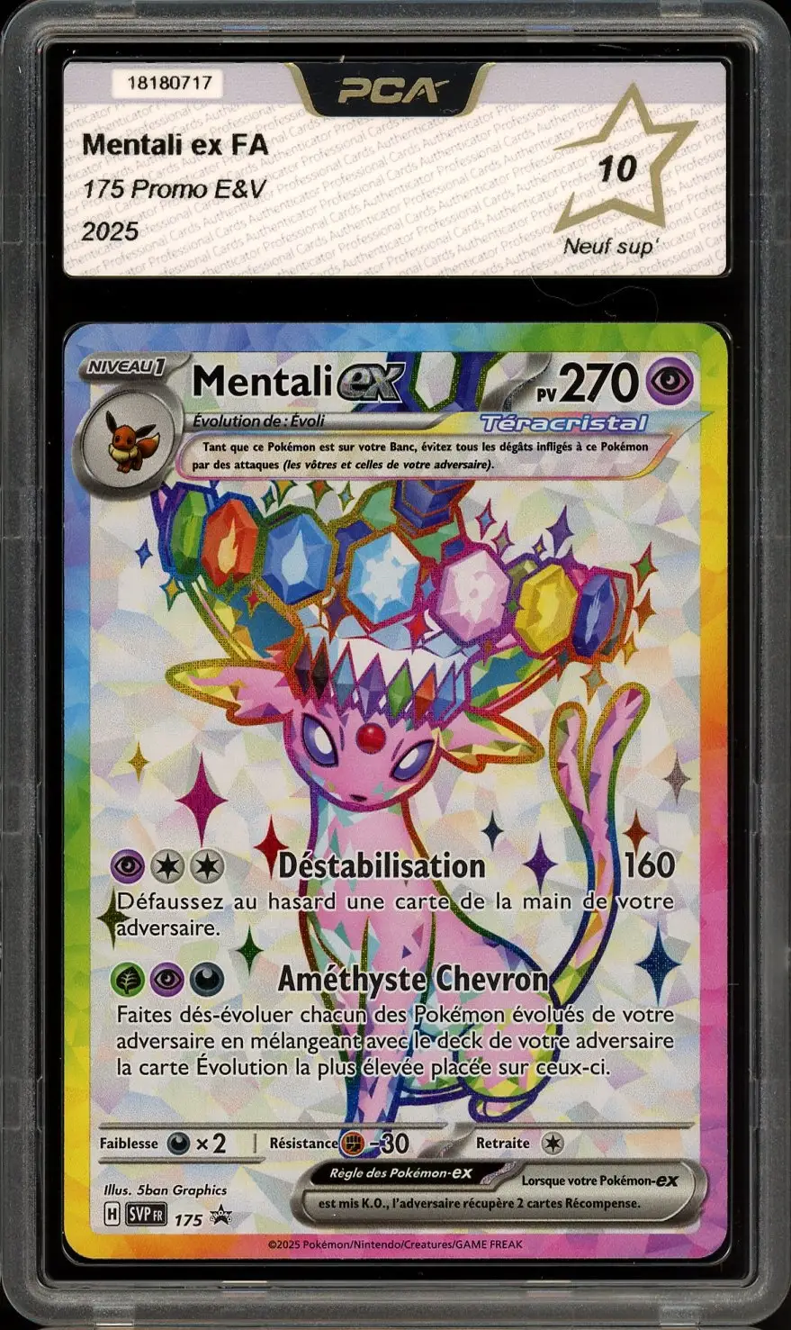 PCA 10 Mentali Ex