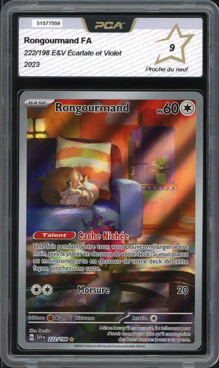 PCA 9 Rongourmand