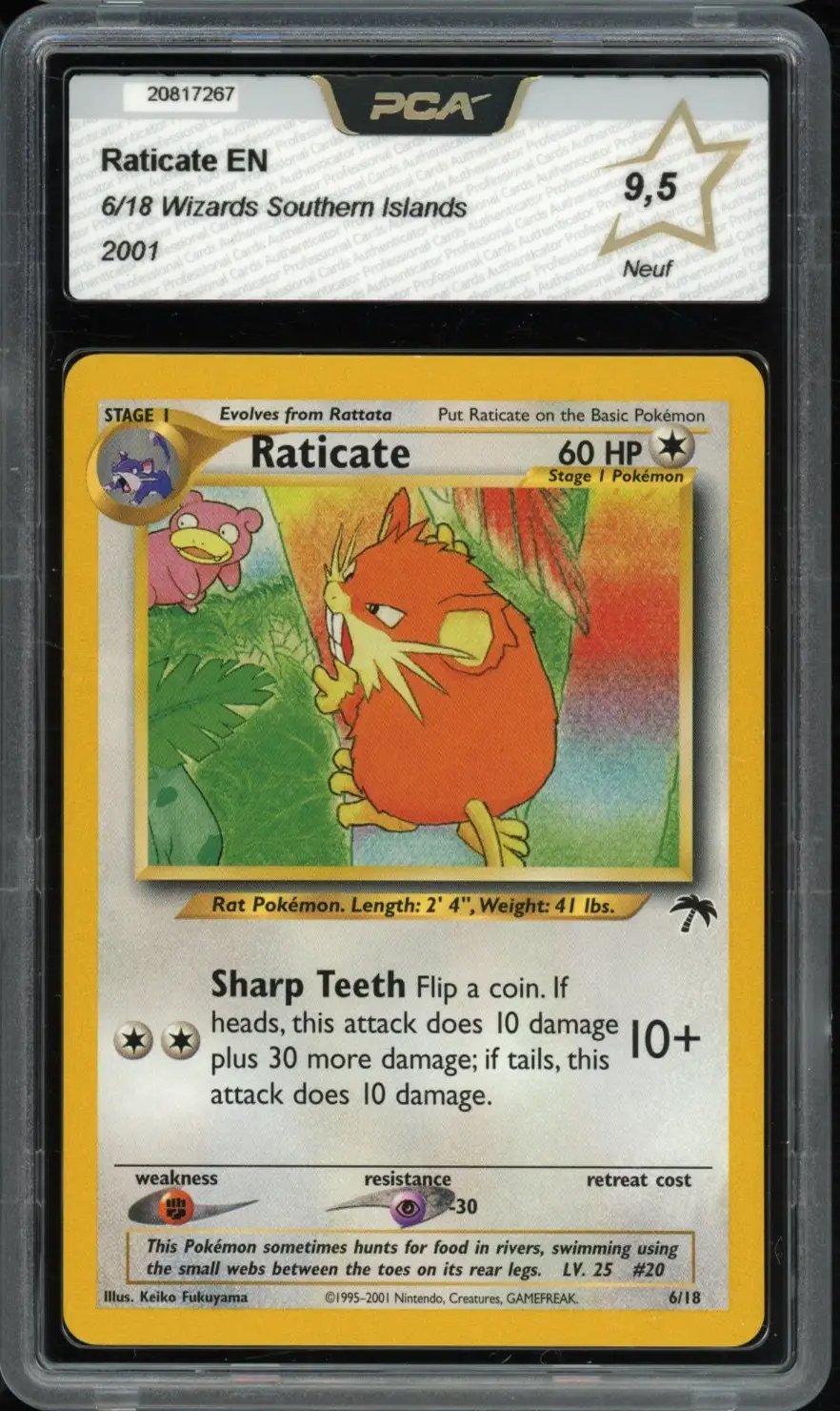 PCA 9.5 Raticate