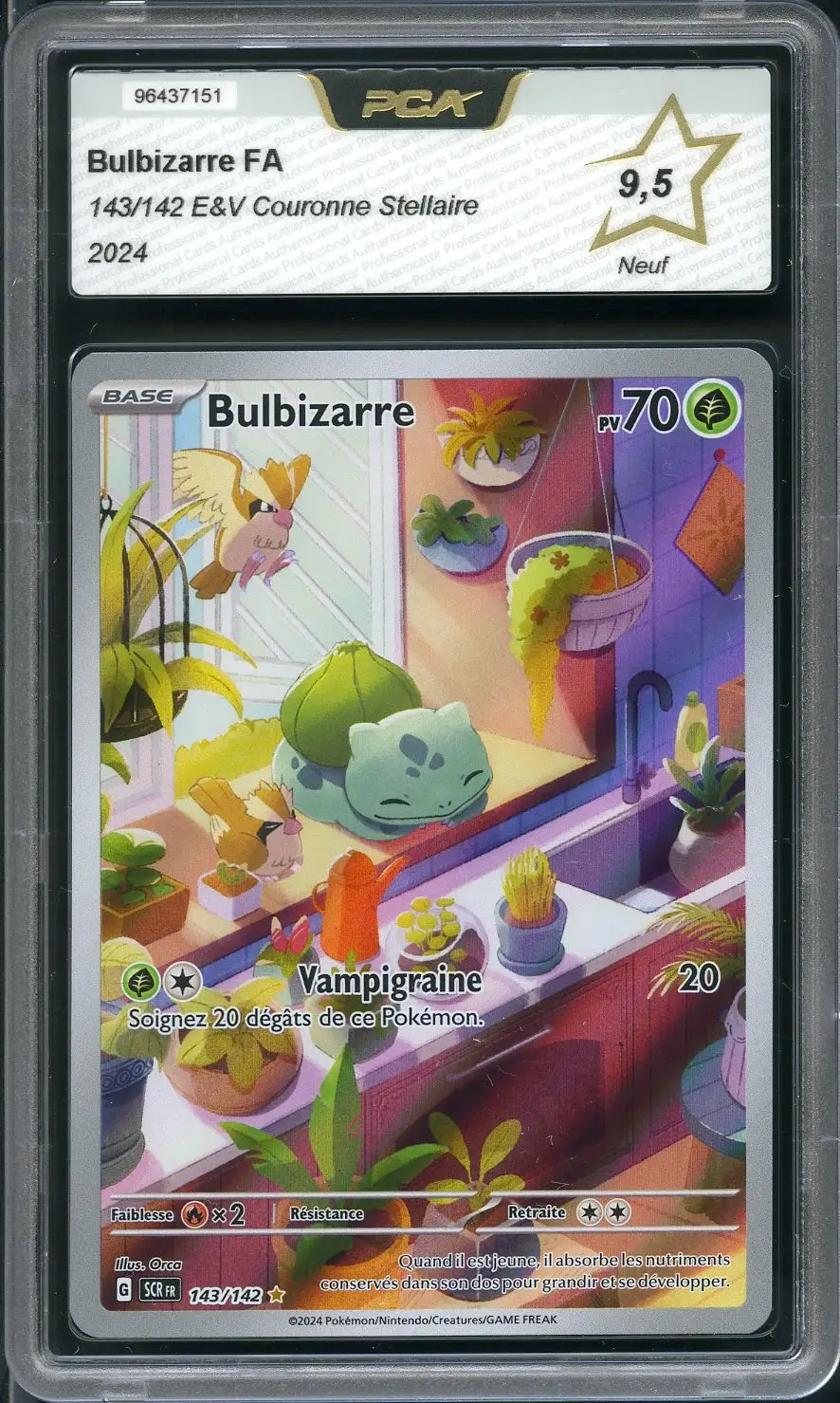 PCA 9.5 Bulbizarre