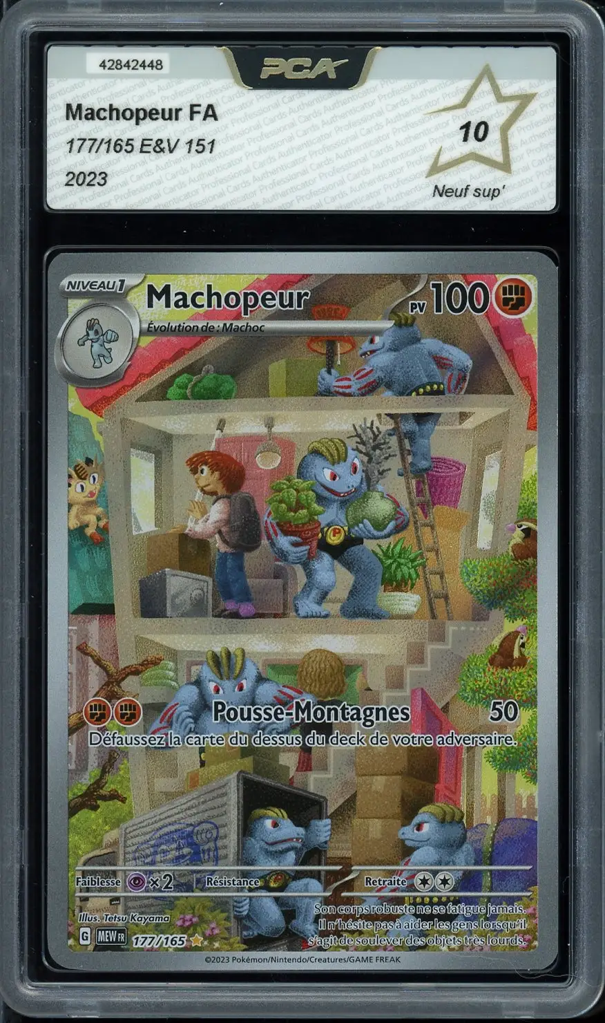 PCA 10 Machopeur