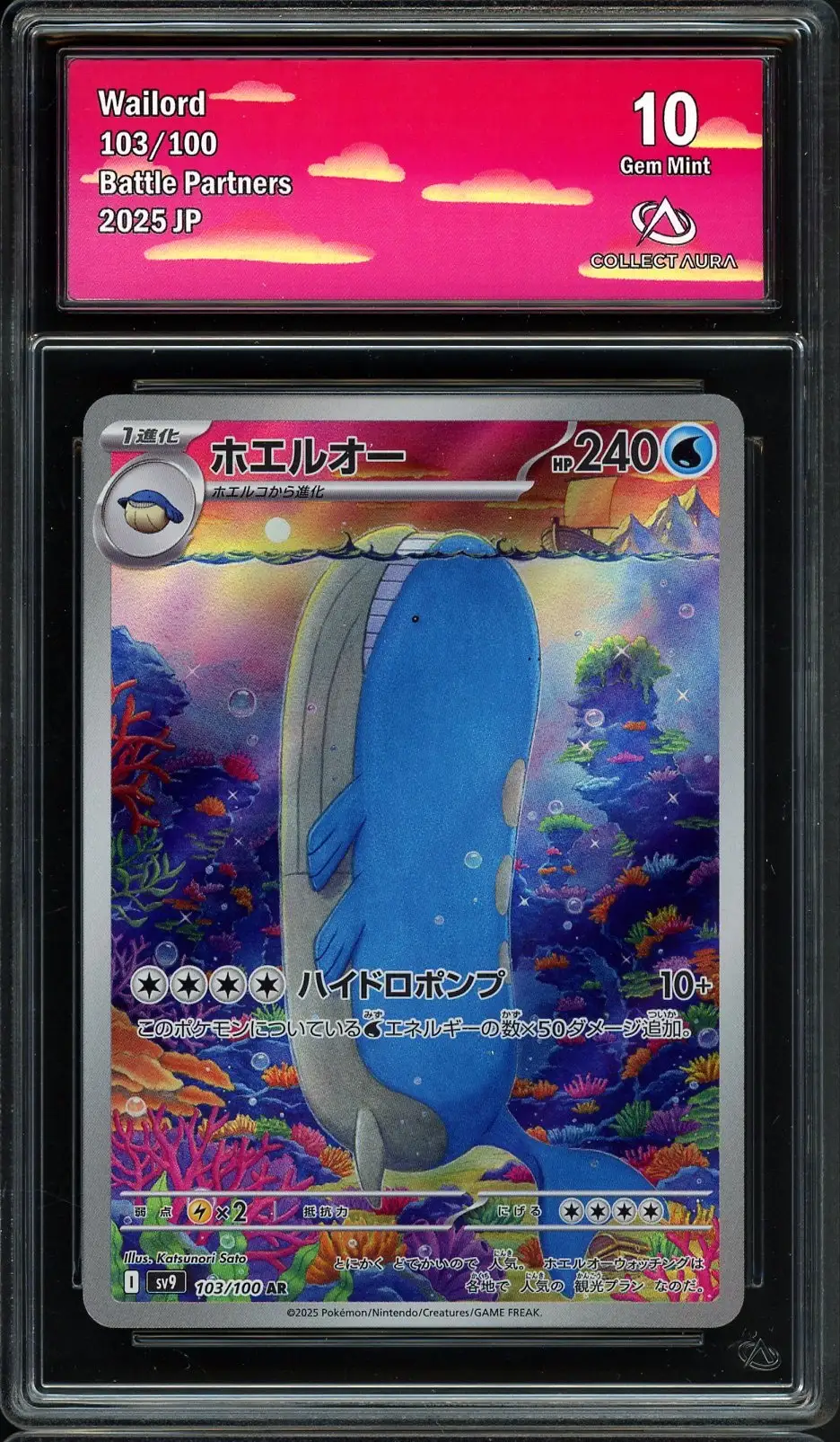 CA 10 Wailord