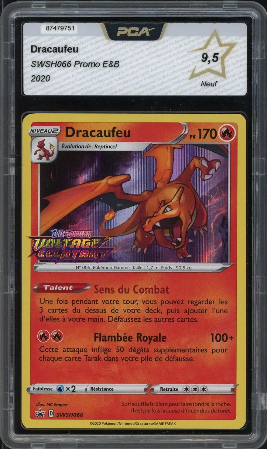PCA 9.5 Dracaufeu Holo