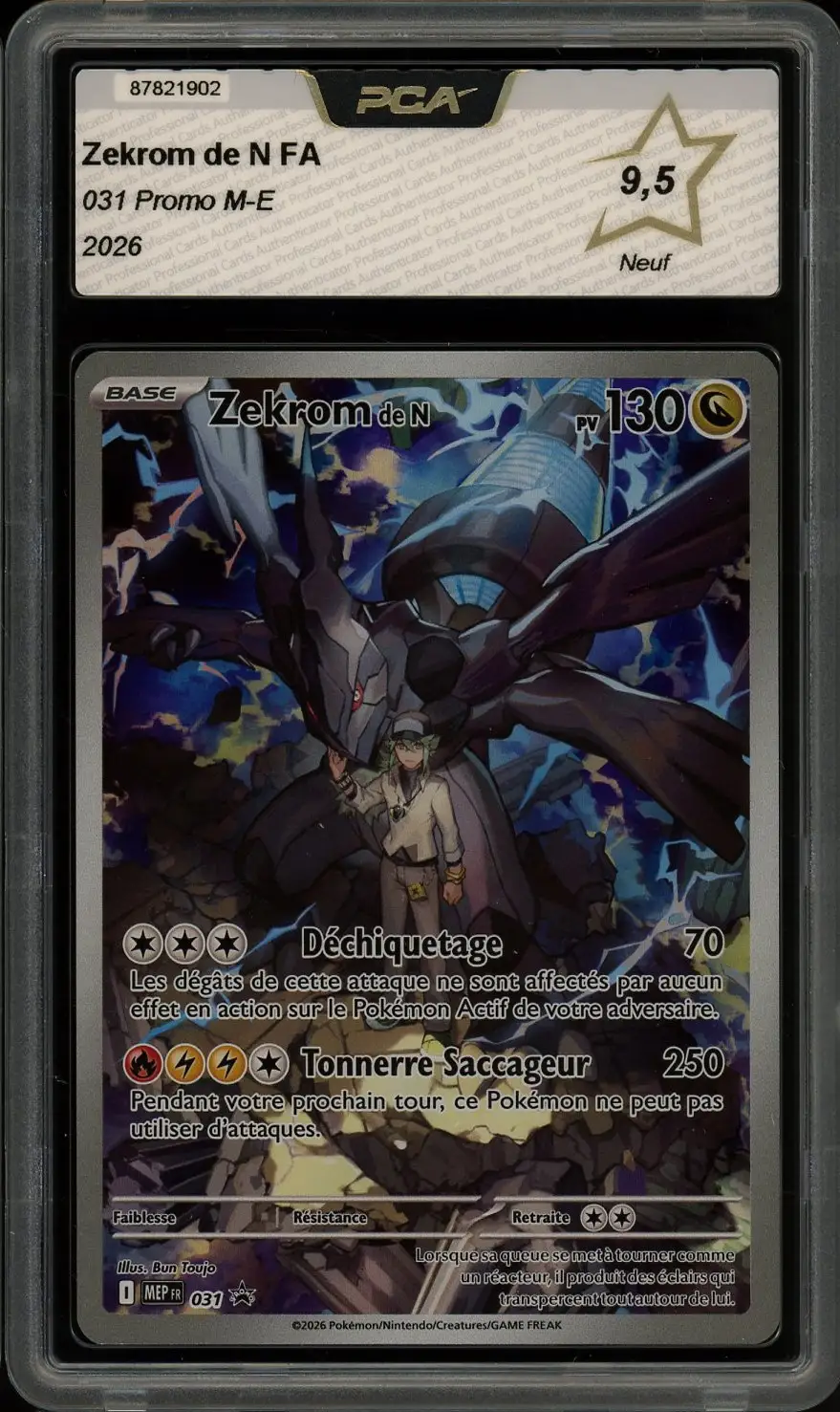 PCA 9.5 Zekrom de N