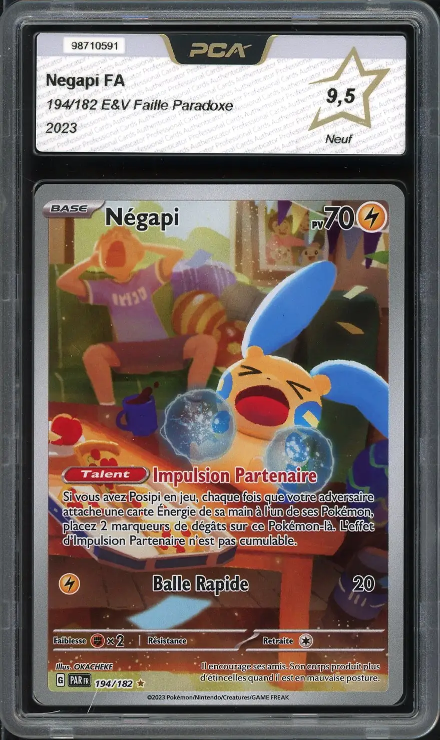 PCA 9.5 Négapi
