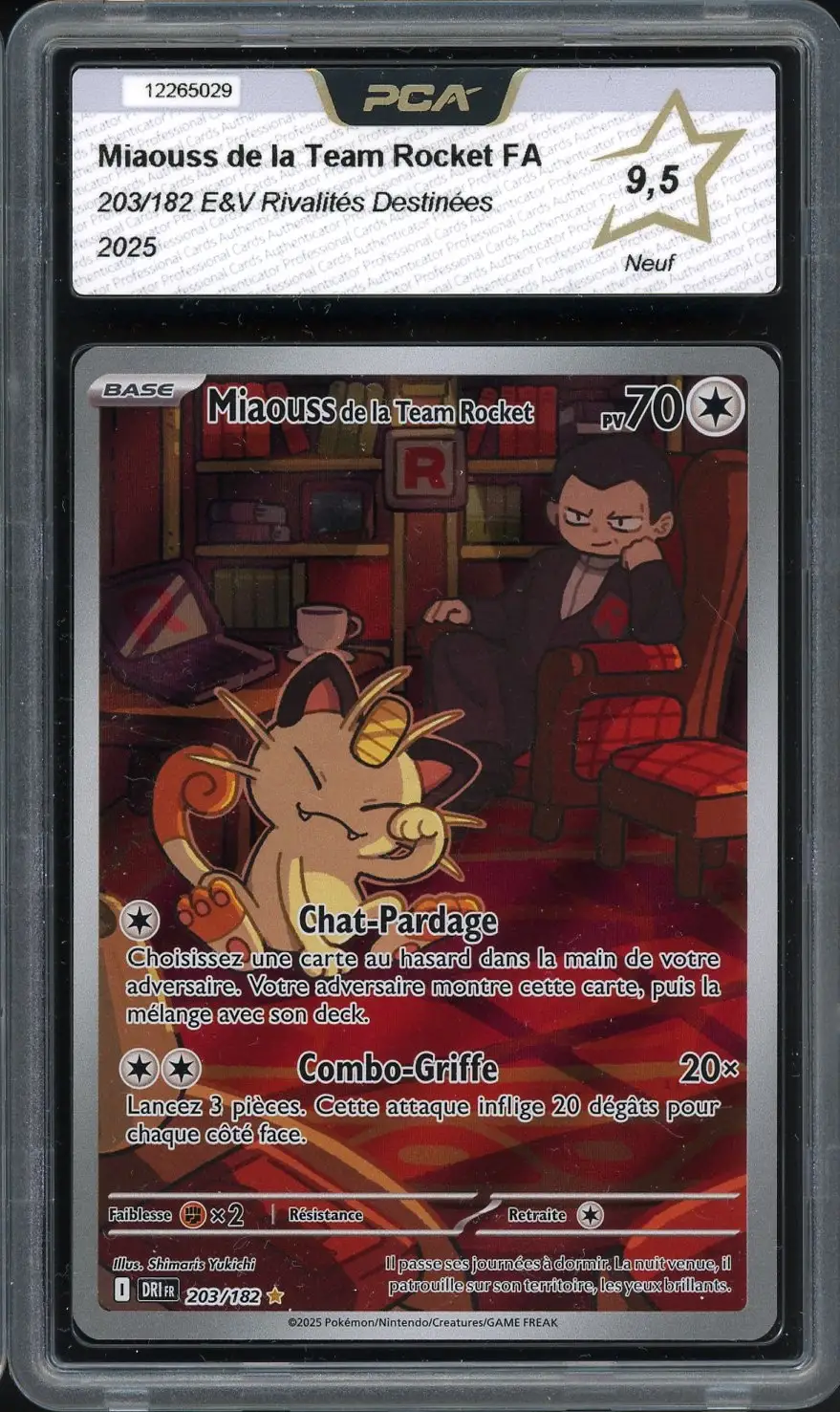 PCA 9.5 Miaouss de la Team Rocket