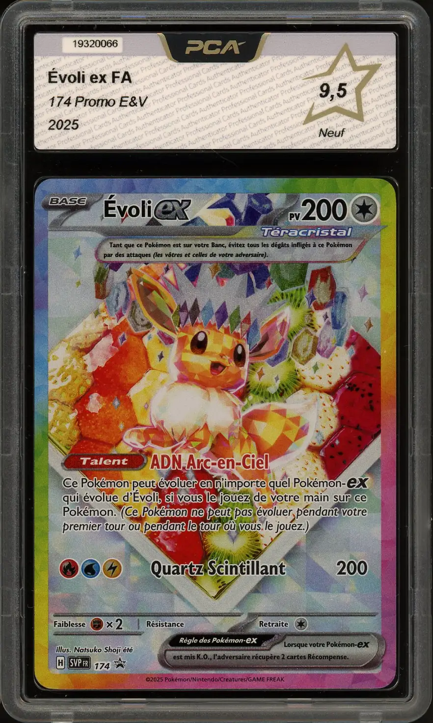 PCA 9.5 Evoli Ex