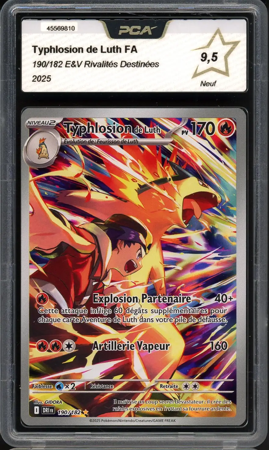 PCA 9.5 Typhlosion de Luth