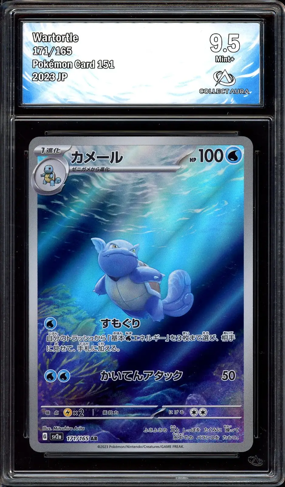 CA 9.5 Wartortle