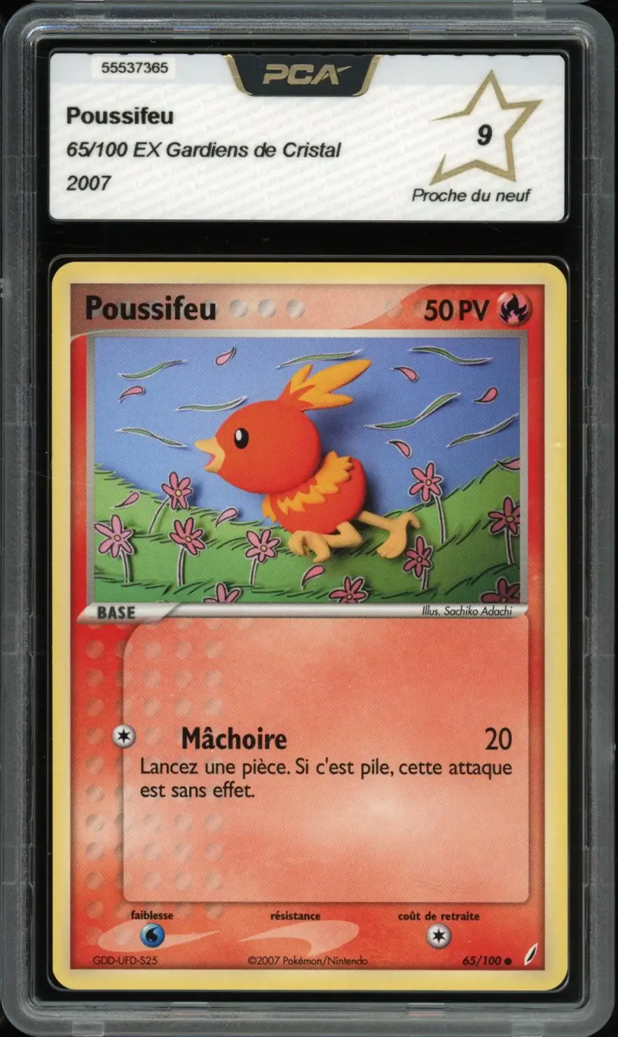 PCA 9 Poussifeu