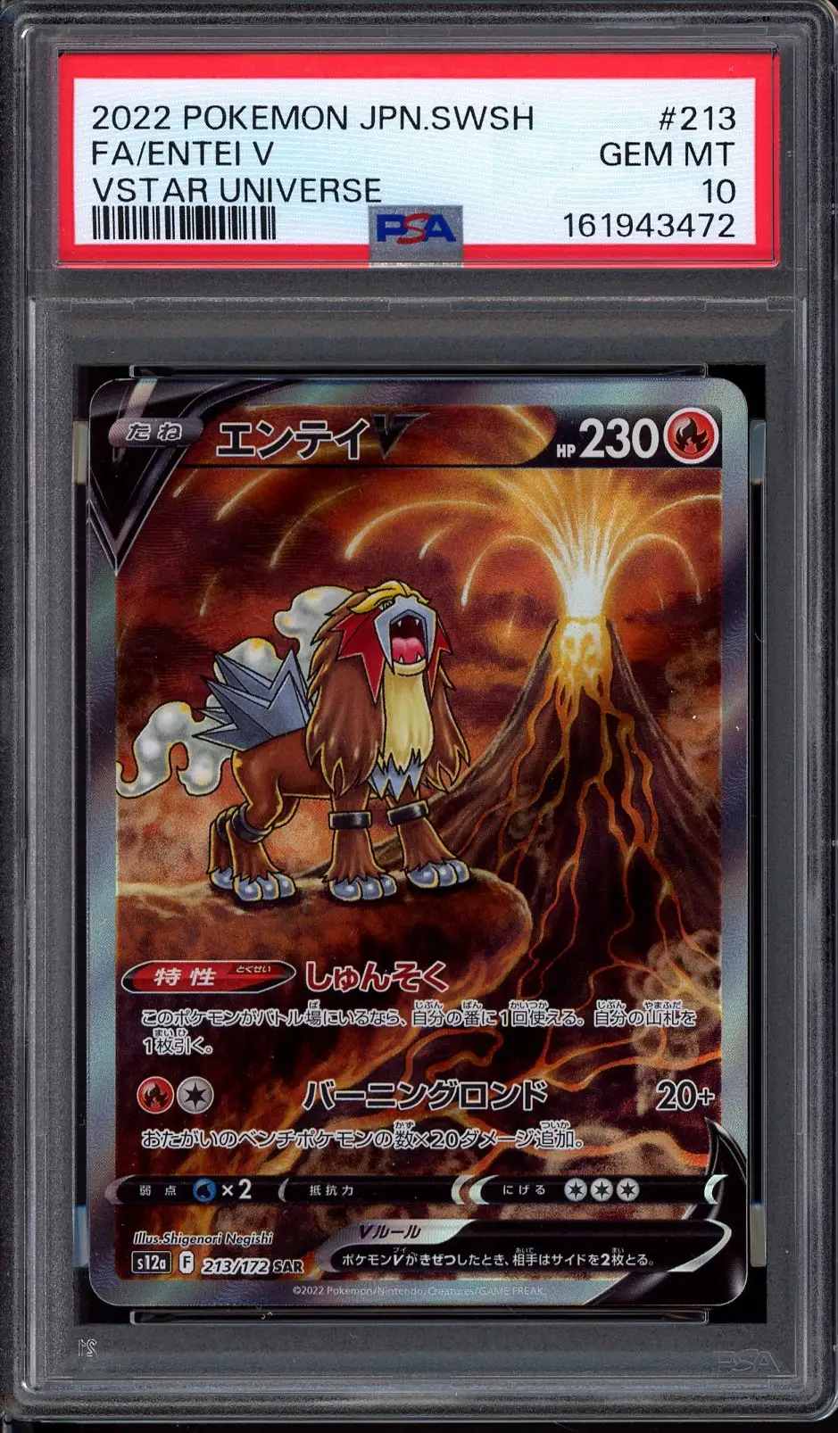 PSA 10 Entei V