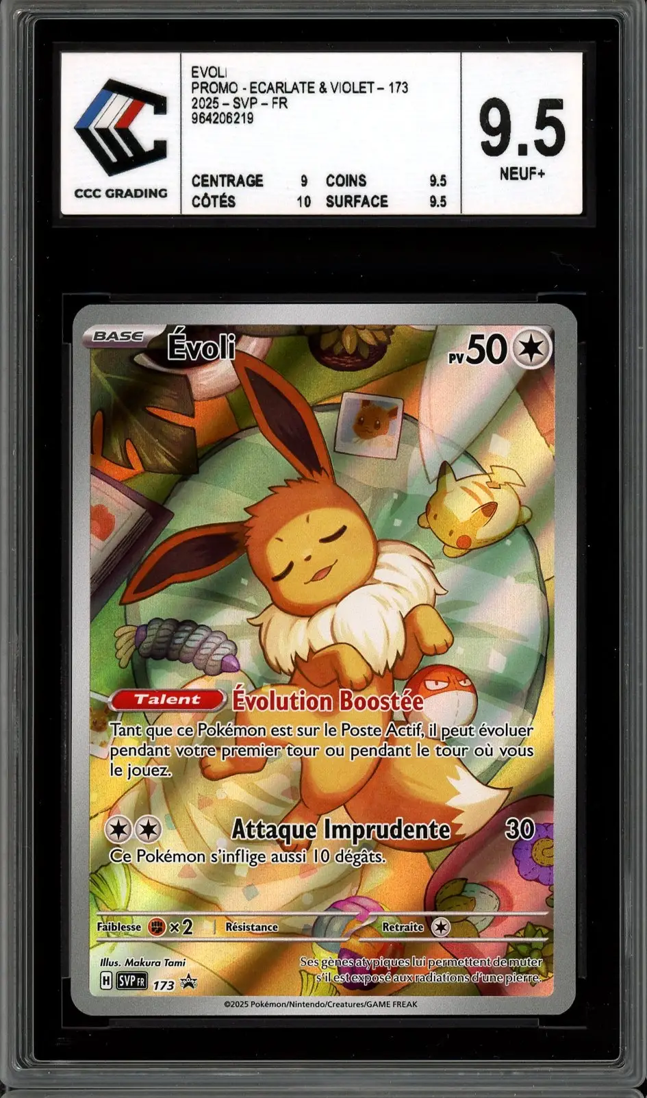 CCC 9.5 Evoli