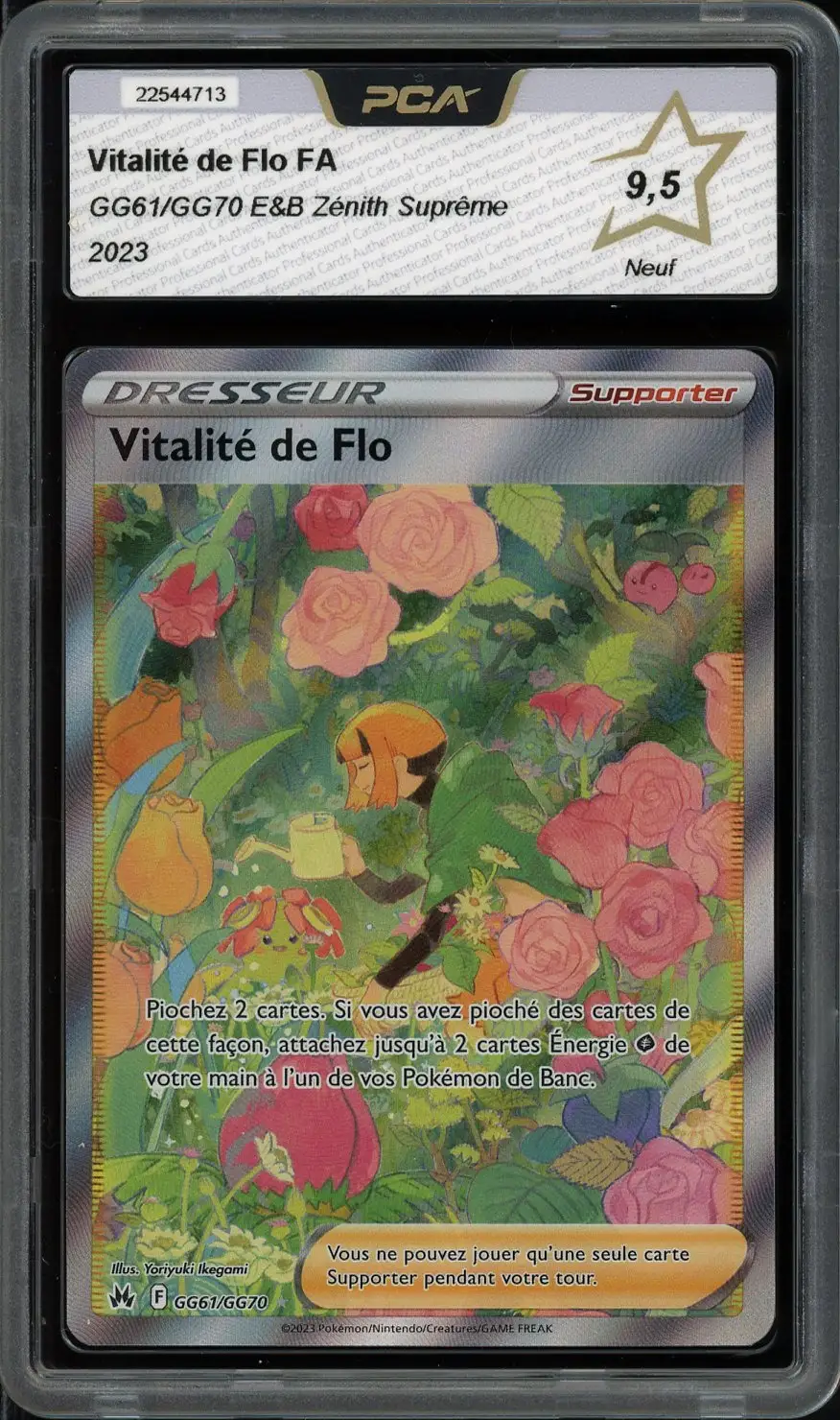 PCA 9.5 Vitalité de Flo