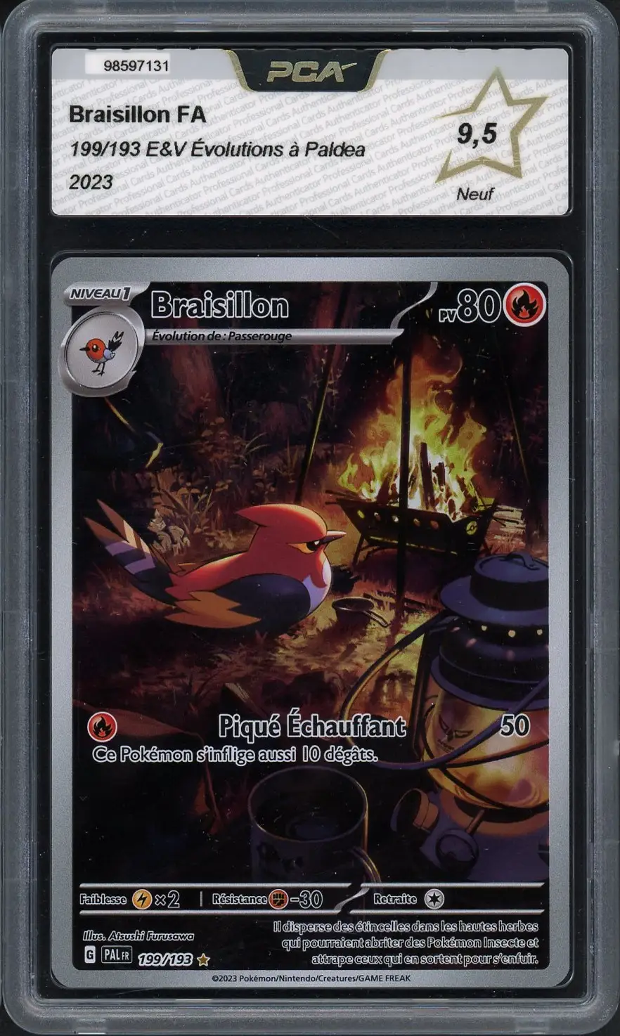PCA 9.5 Braisillon