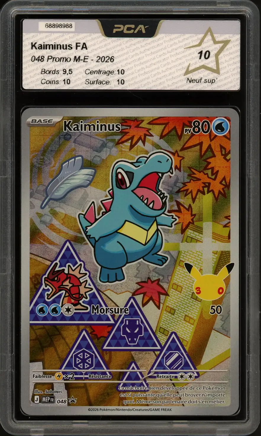 PCA 10 Kaiminus