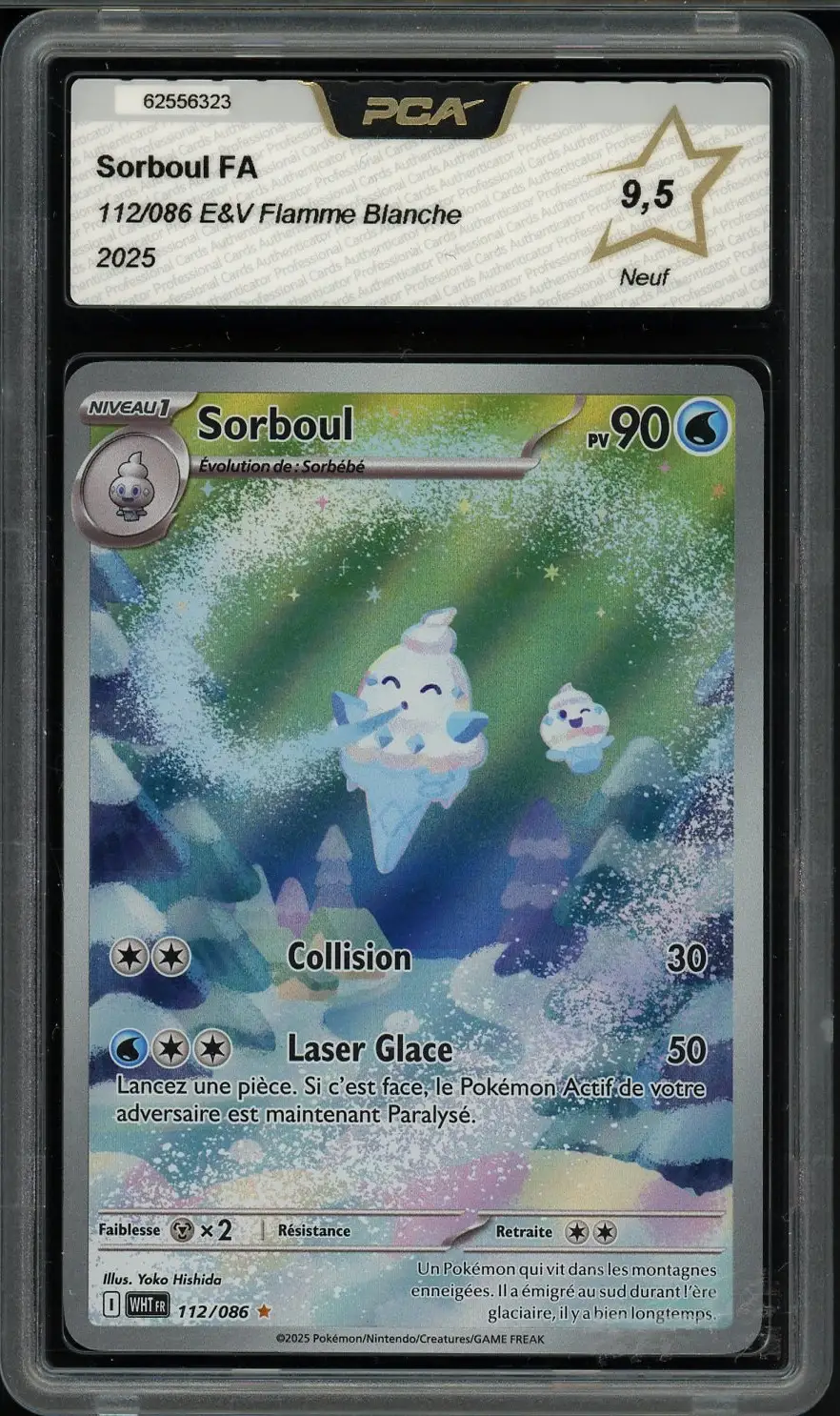 PCA 9.5 Sorboul