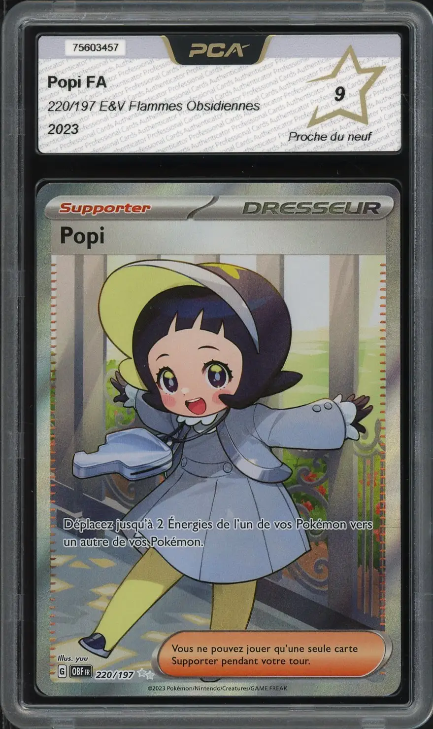 PCA 9 Popi