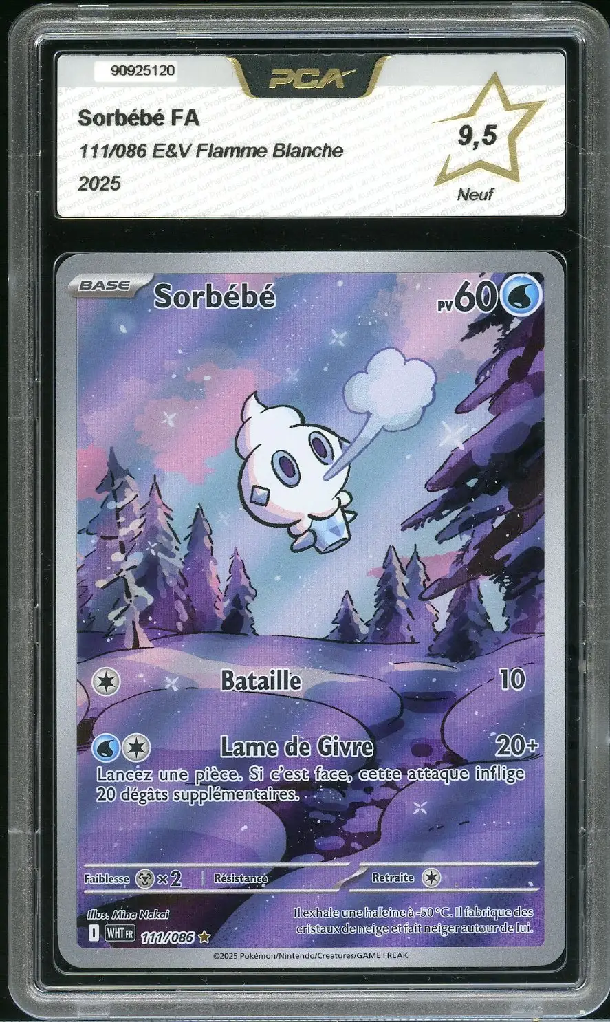 PCA 9.5 Sorbébé