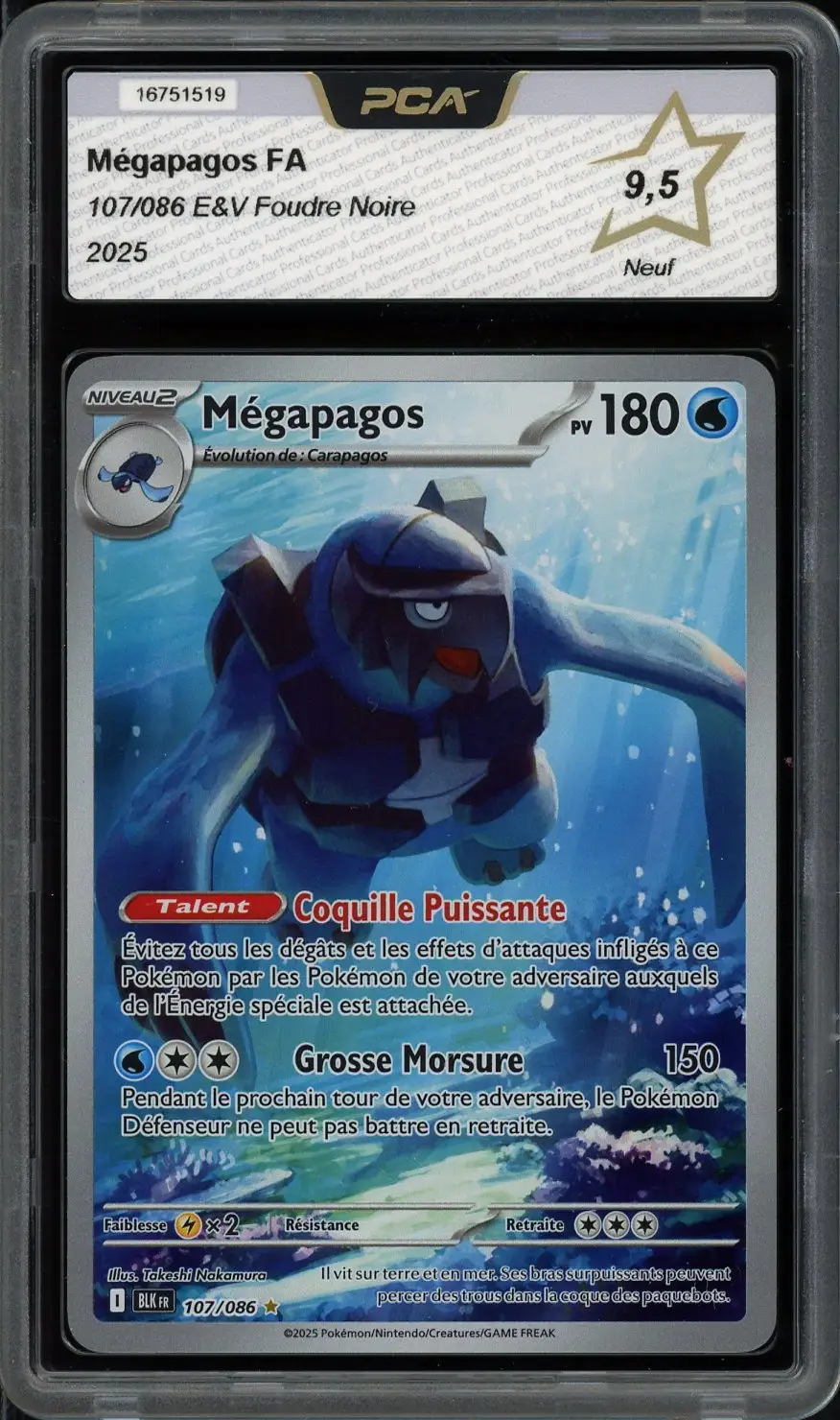 PCA 9.5 Mégapagos