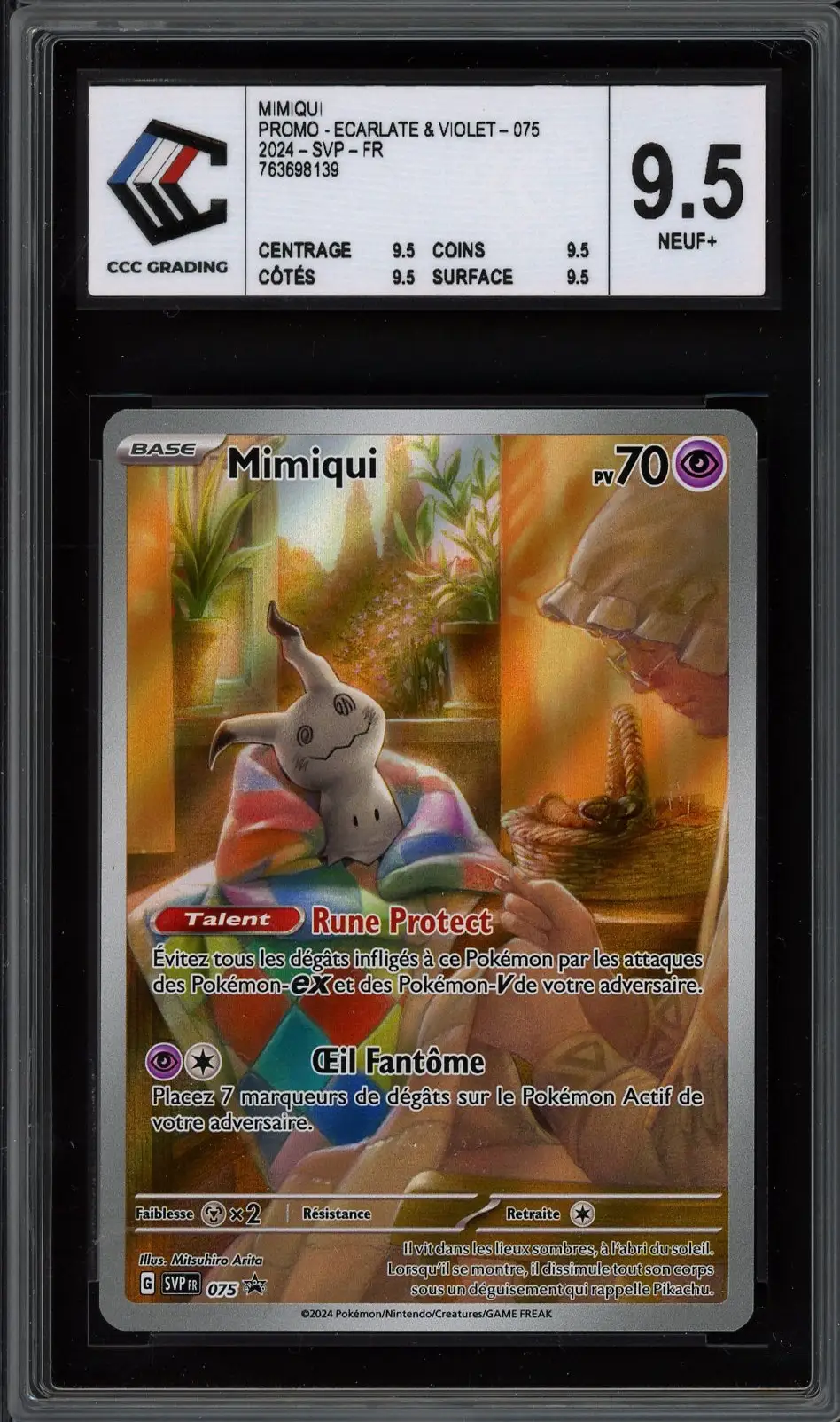CCC 9.5 Mimiqui