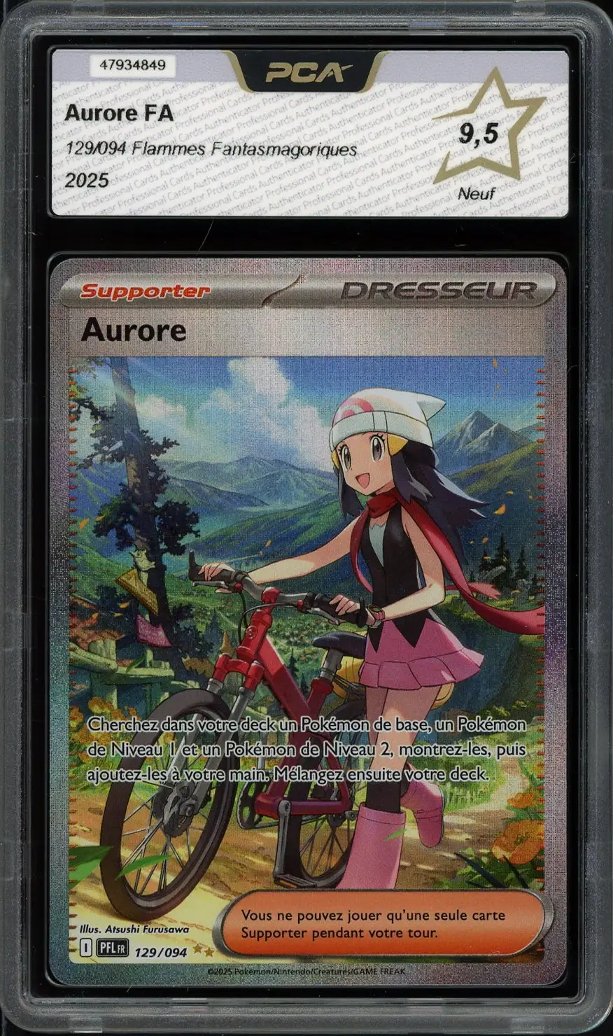 PCA 9.5 Aurore