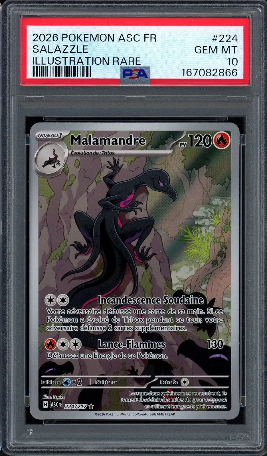 PSA 10 Malamandre