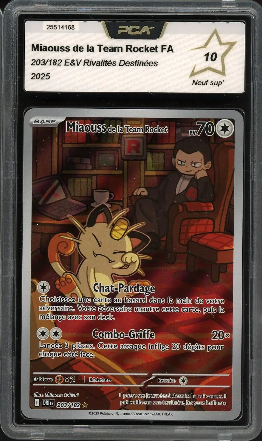 PCA 10 Miaouss de la Team Rocket