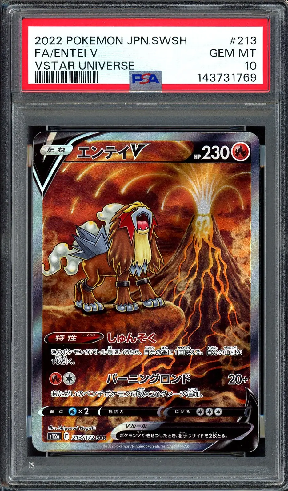 PSA 10 Entei V