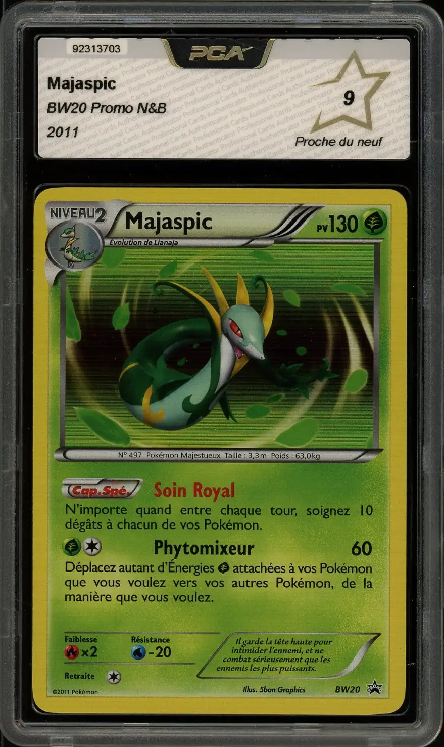 PCA 9 Majaspic Holo