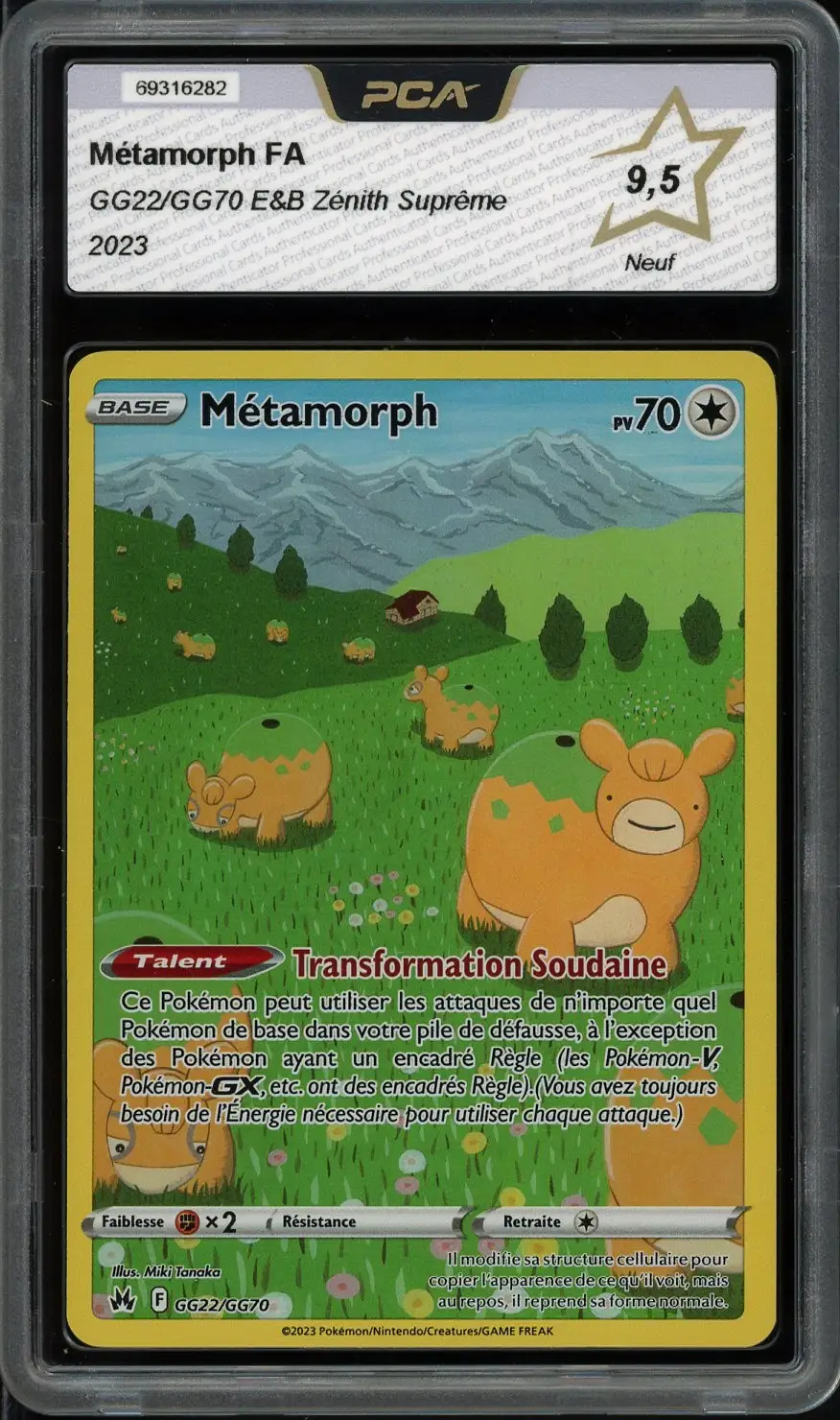 PCA 9.5 Métamorph