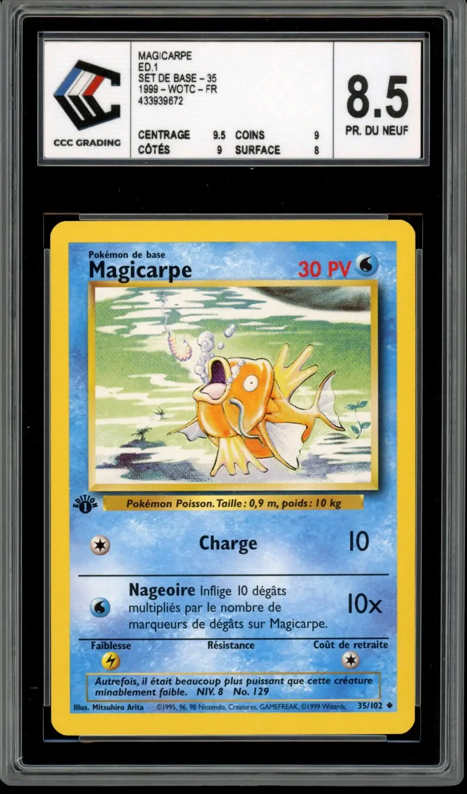 CCC 8.5 Magicarpe