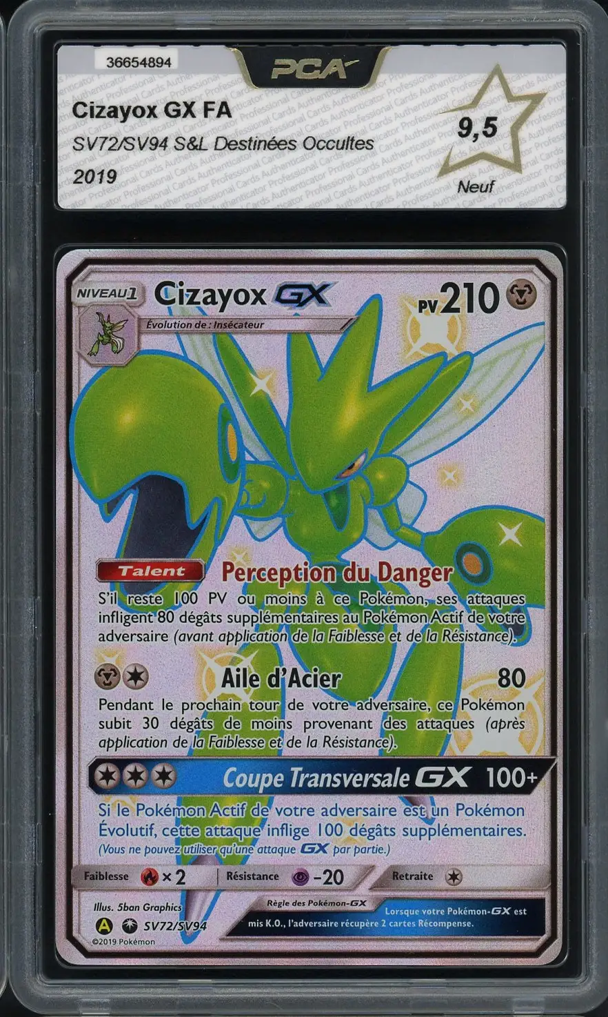 PCA 9.5 Cizayox Gx