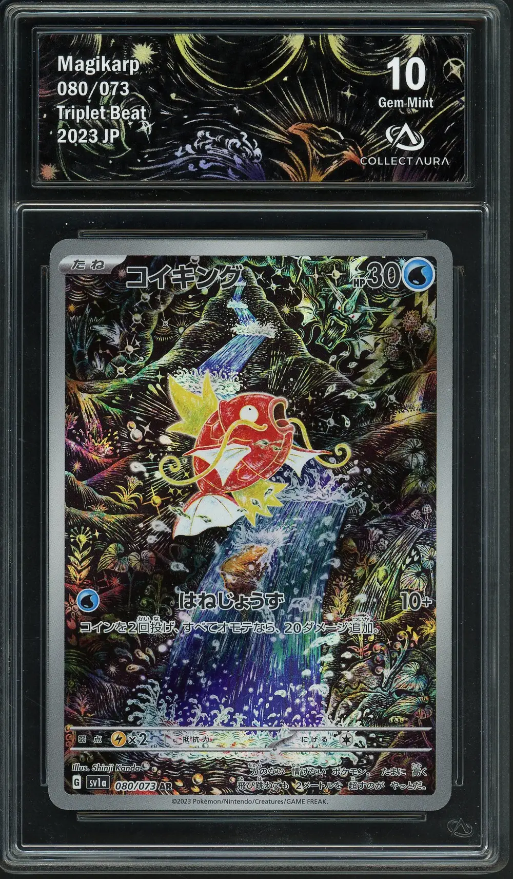 CA 10 Magikarp