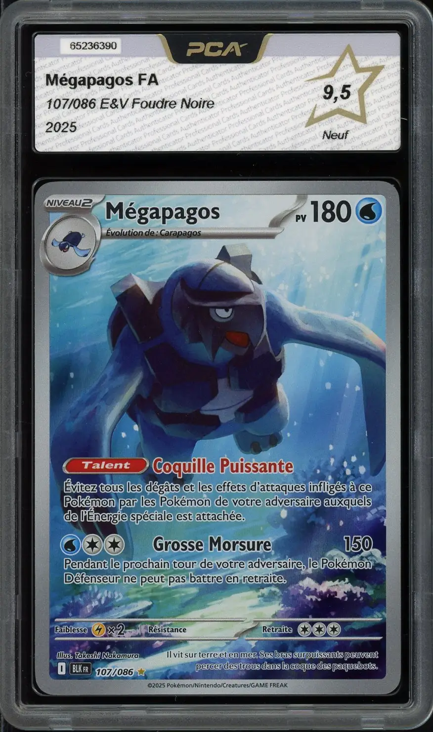 PCA 9.5 Mégapagos